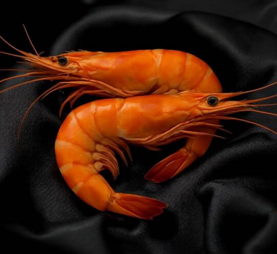 Crevettes