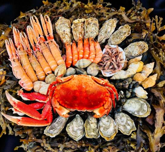 Le Plateau Gourmand
