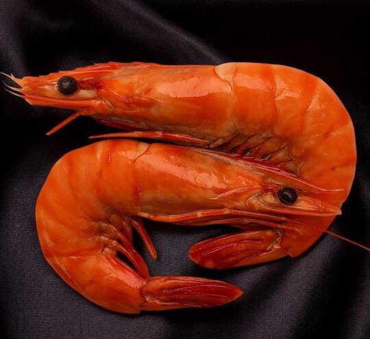 Crevettes XL Sauvages du Nigeria - 2 PCS