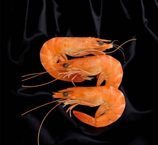 Crevettes bio de Madagascar - 6 PCS